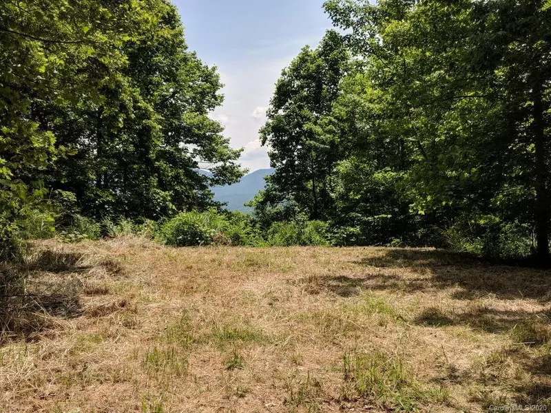 Lot C-7  27 Trillium LN #C-7, Black Mountain, NC 28711