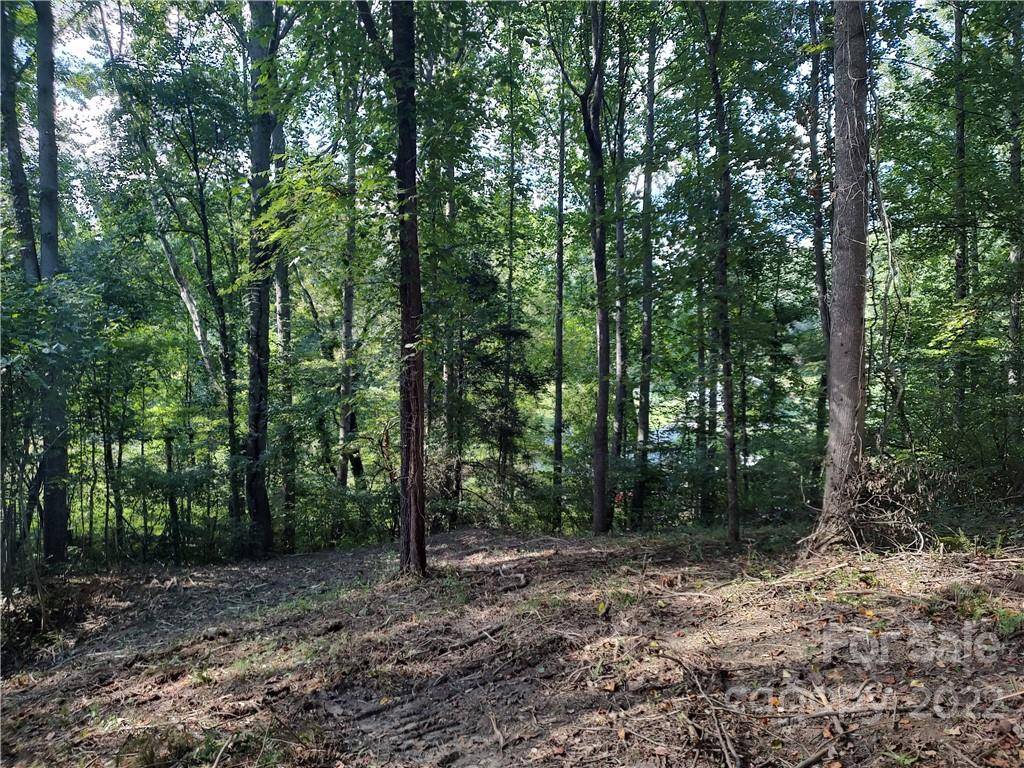 Candler, NC 28715,43 Baxter Woods LN #9