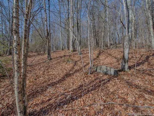 Waynesville, NC 28786,00 Eagles Nest RD #Lots 1 & 2