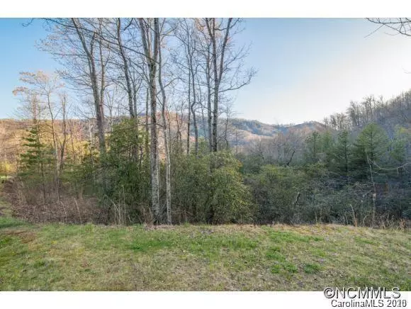 C-1  28 Trillium LN #C-1, Black Mountain, NC 28711