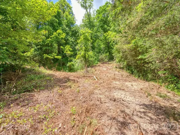 Waynesville, NC 28786,Lot #18R Mosa DR