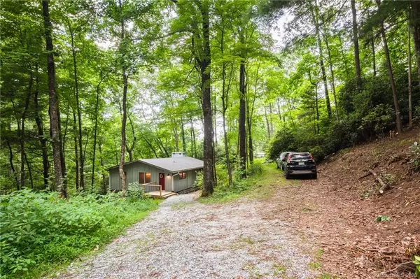 Lake Toxaway, NC 28747,25 N Dogwood LN