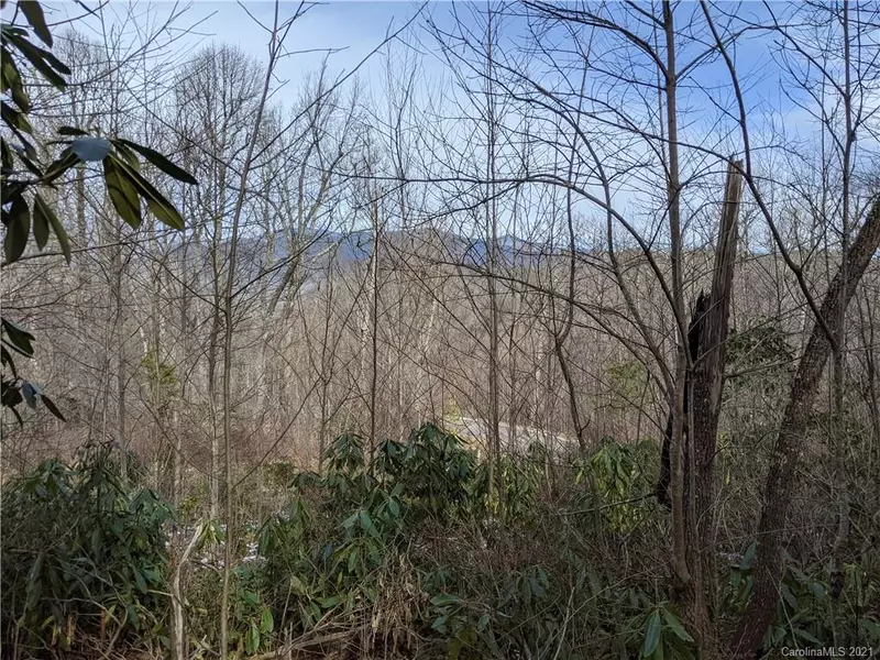 11 Crockett Ridge RD #183, Black Mountain, NC 28711