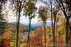 108 Bartrams Walk DR #11, Asheville, NC 28804