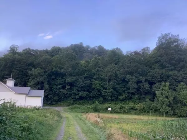 3372 E Grapevine RD NE, Marshall, NC 28753