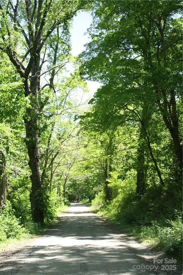 Candler, NC 28715,TBD Greenyard TRL #2