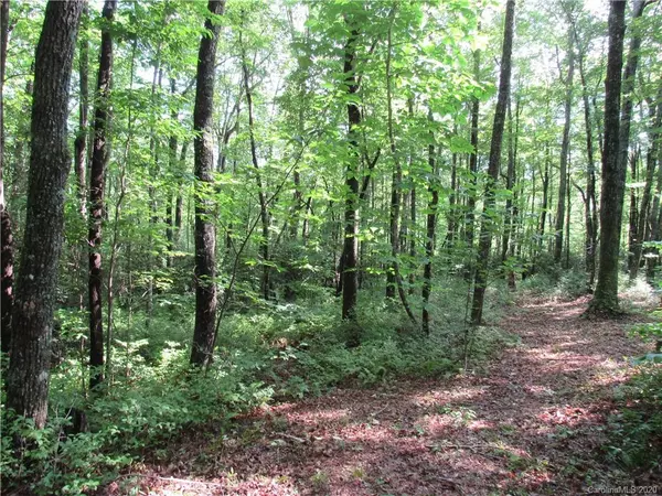 Lake Toxaway, NC 28747,21 Rocky Mountain RD #21