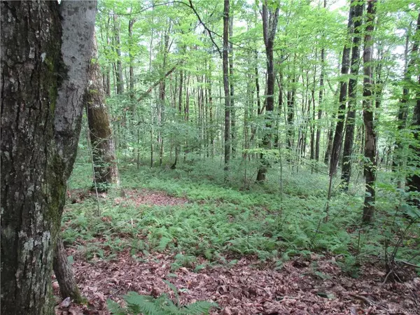 Lake Toxaway, NC 28747,23 Rocky Mountain RD #23