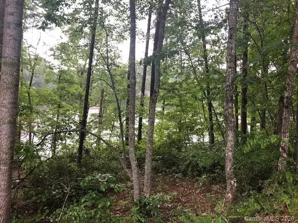 Mill Spring, NC 28756,Lot 18 South Cove RD