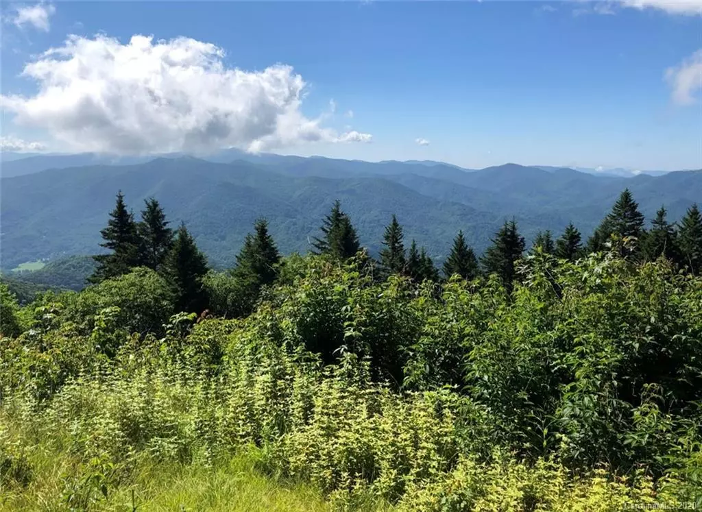 Sylva, NC 28779,99999 Greenspire DR