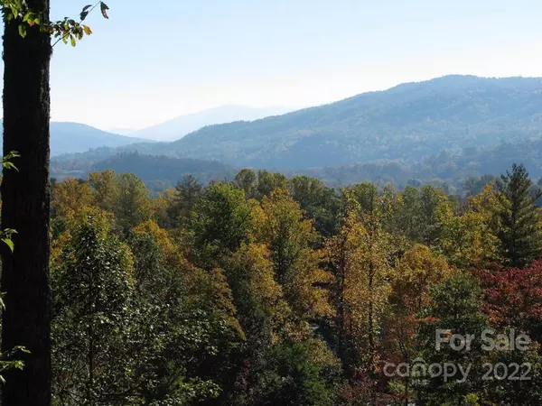 Brevard, NC 28712,TBD Pine Mountain TRL