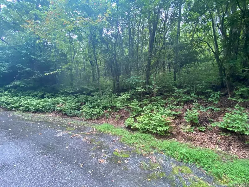 TBD Mulberry CIR #J114, Brevard, NC 28712