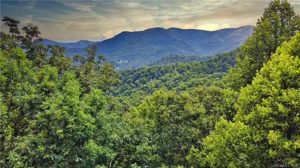 Waynesville, NC 28785,TBD Purple Martin LN