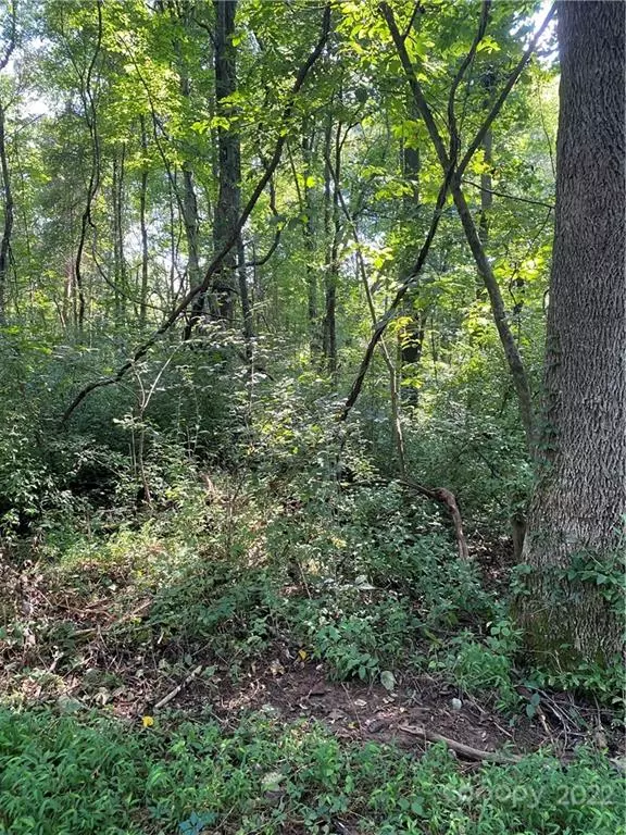 East Spencer, NC 28039,0 Boundary ST