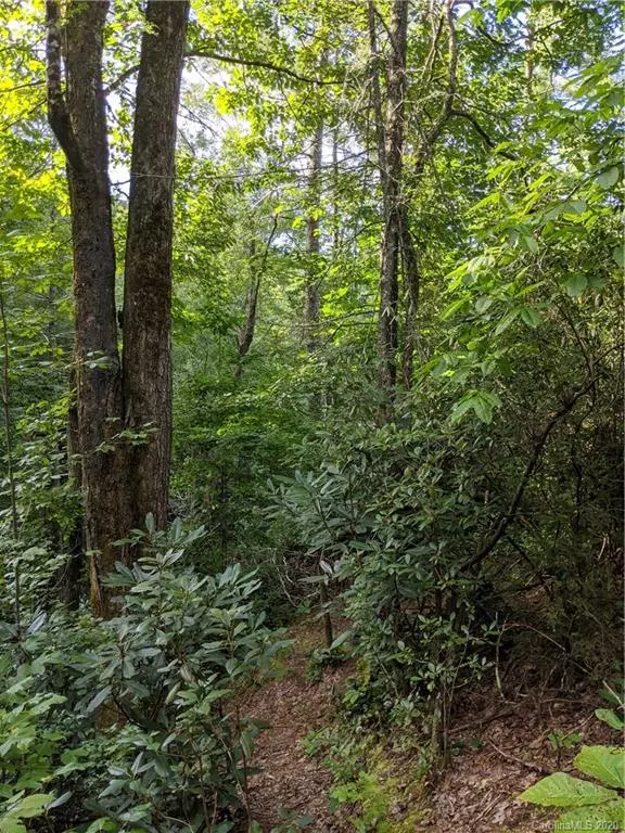 Brevard, NC 28712,Lot 17 Rock Creek Trail RD #17