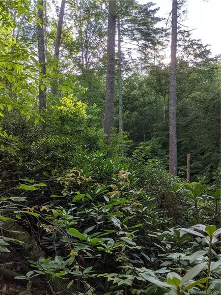 Lot 17 Rock Creek Trail RD #17, Brevard, NC 28712