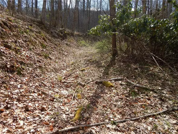 Spring Creek, NC 28743,00 Gentry Farm RD