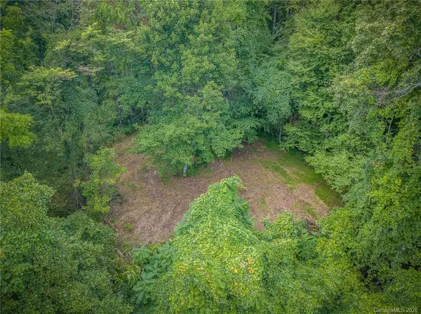 TBD HIGH ROCK MOUNTAIN RD N, Marshall, NC 28753