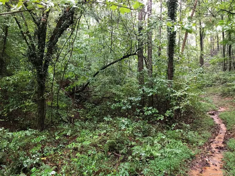 LOT 64 Green River Cove RD, Saluda, NC 28773