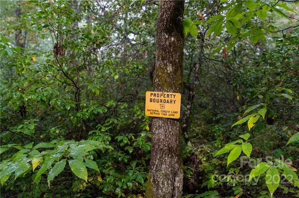 Lake Toxaway, NC 28747,TBD Silversteen RD