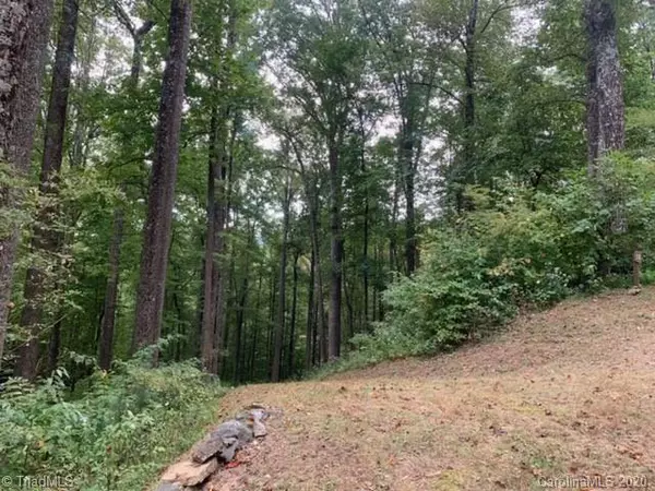 Boone, NC 28607,Lot 18 Conner LN