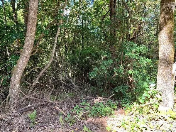 Lot #12 Long Ridge LN #12, Rosman, NC 28772