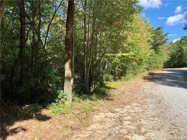 Rosman, NC 28772,Lot #12 Long Ridge LN #12