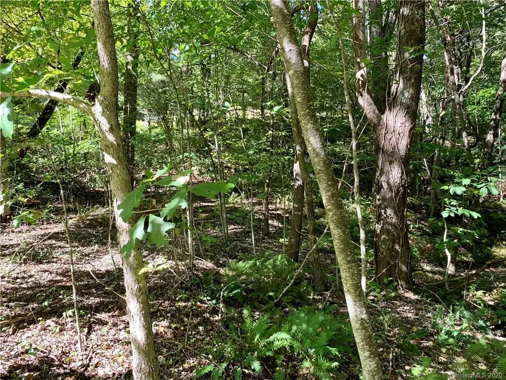 Rosman, NC 28772,Lot 15 Eastatoe Gap RD #15