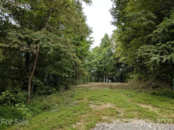 Black Mountain, NC 28711,Lot T-66  23 Ninebark LN #T-66