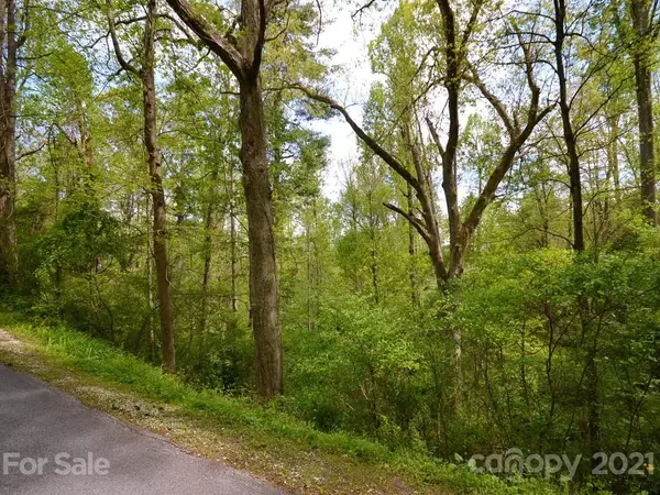 Hendersonville, NC 28739,LOT 2 Ransier DR