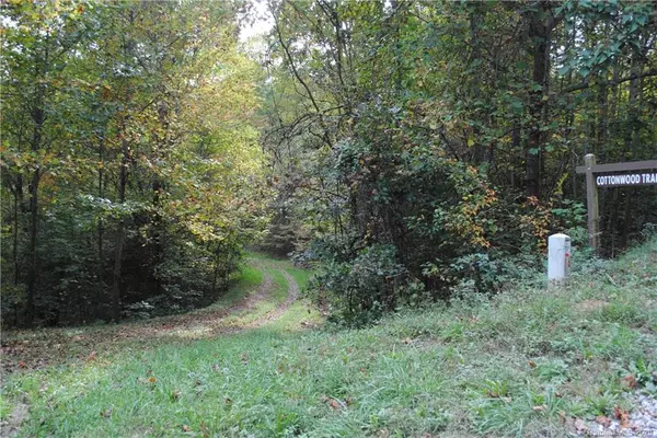 Old Fort, NC 28762,TBD Old Lake TRL #9C+10C