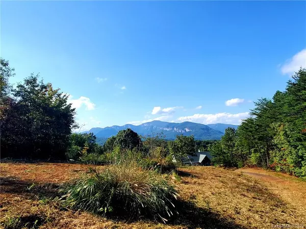 Lake Lure, NC 28746,0 Boulder Ridge None #Lot 60