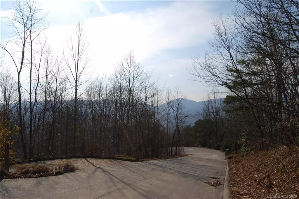 Black Mountain, NC 28711,000 Crestview DR #D-2