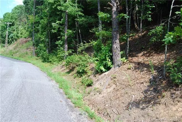 Old Fort, NC 28762,LOT 502 McKenzie WAY N #LOT 502