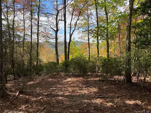 Pisgah Forest, NC 28768,TBD Red Maple LN #7