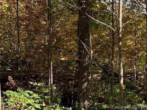 Hendersonville, NC 28792,Lot 70 Grand Oaks DR