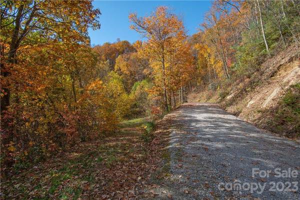 Waynesville, NC 28785,Tract 3 Sigogglin TRL