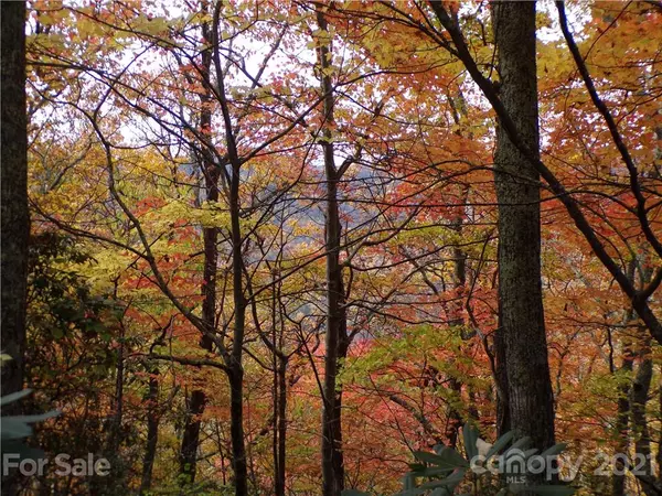 Maggie Valley, NC 28751,00 Tater Patch RD #17 and 18