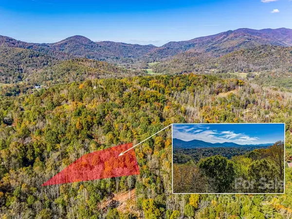 Asheville, NC 28805,32 Annie LN #3