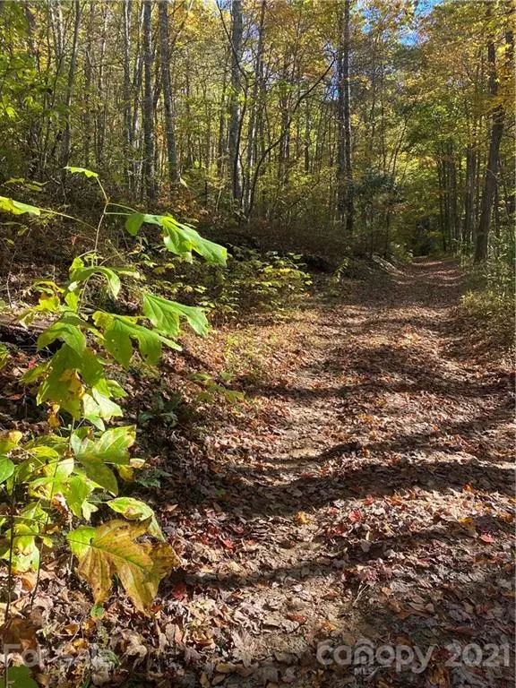 Glenville, NC 28736,0000 Shepherds DR