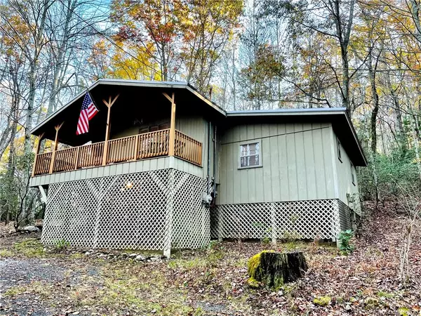 388 Seldon-Emerson RD, Cedar Mountain, NC 28718