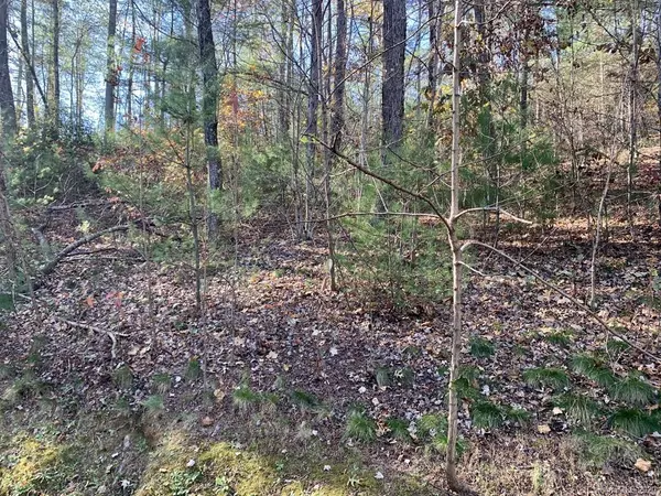 Brevard, NC 28712,Lot 83 Mountain Home TRL #83