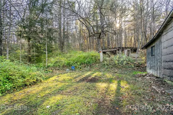 Horse Shoe, NC 28742,156 Inspiration DR