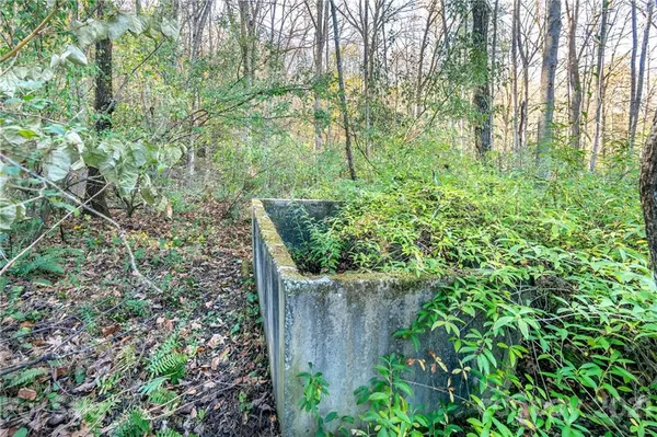 Horse Shoe, NC 28742,156 Inspiration DR