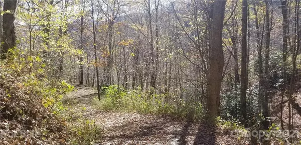 Maggie Valley, NC 28751,Lot 32 Minot LN