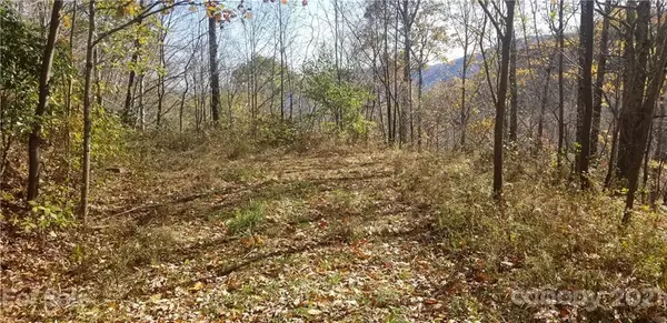 Maggie Valley, NC 28751,Lot 32 Minot LN