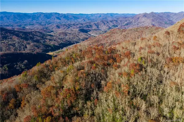 Whittier, NC 28789,Land Off Forest Run RD #F