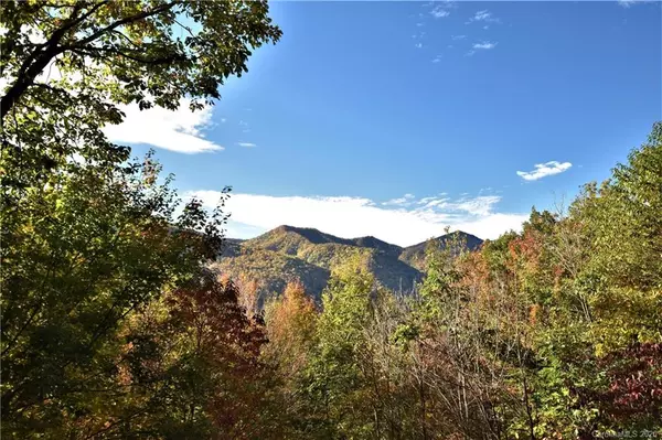 Maggie Valley, NC 28751,425 Grandview Cliff HTS