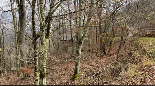 35 Overlook DR #35, Mars Hill, NC 28754