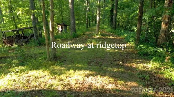 Swannanoa, NC 28778,9999 Walnut Cove RD